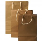 Eco Kraft paper bags